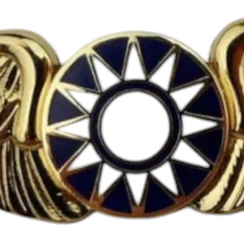INSIGNE MILITAIRE - TIGRE VOLANT - Image 7