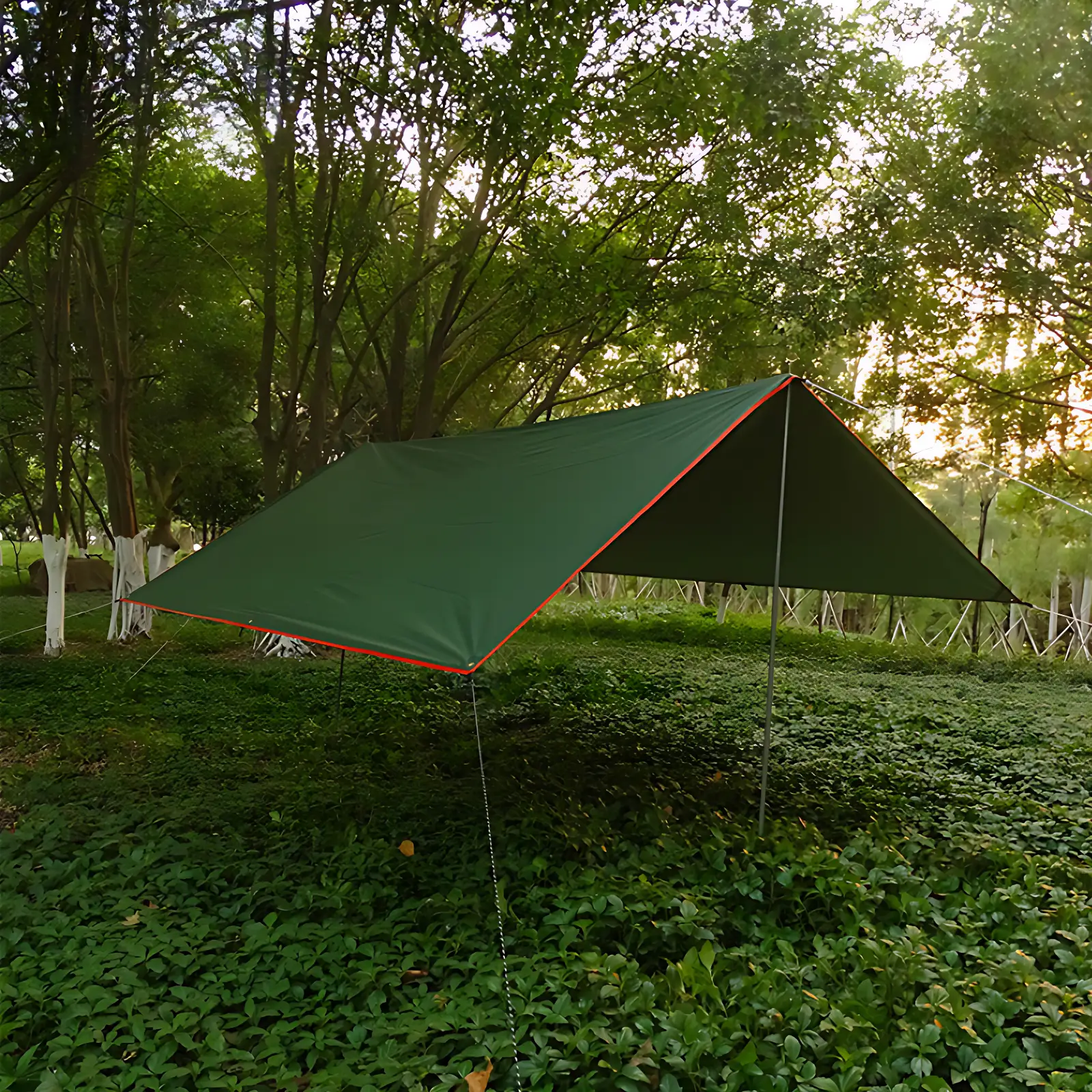 Tarps - Image 3