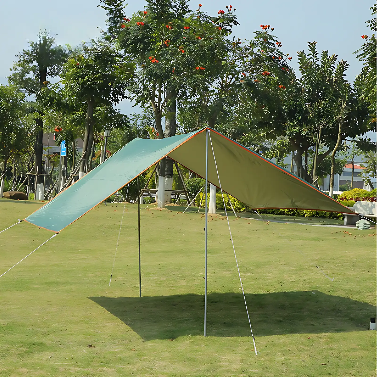 Tarps - Image 5