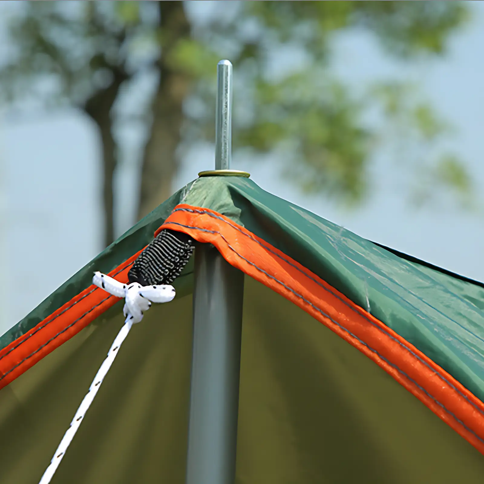 Tarps - Image 6